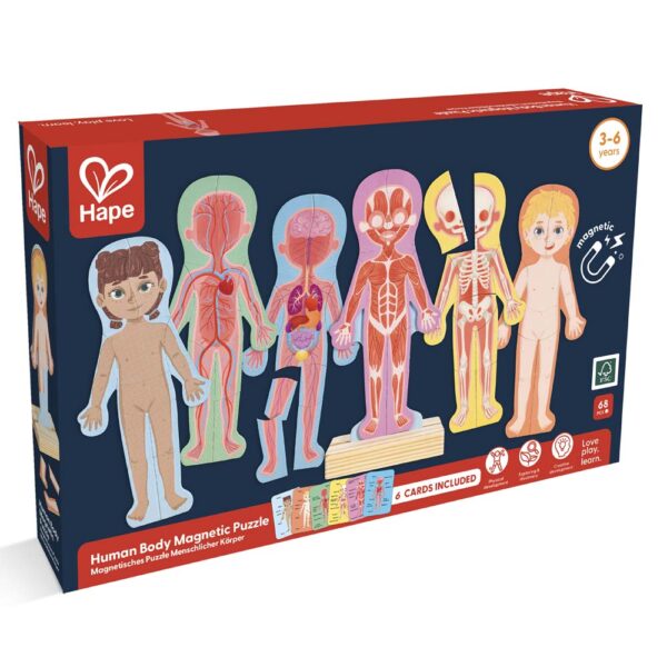 Hape Gioco Magnetico, Il Corpo Umano
