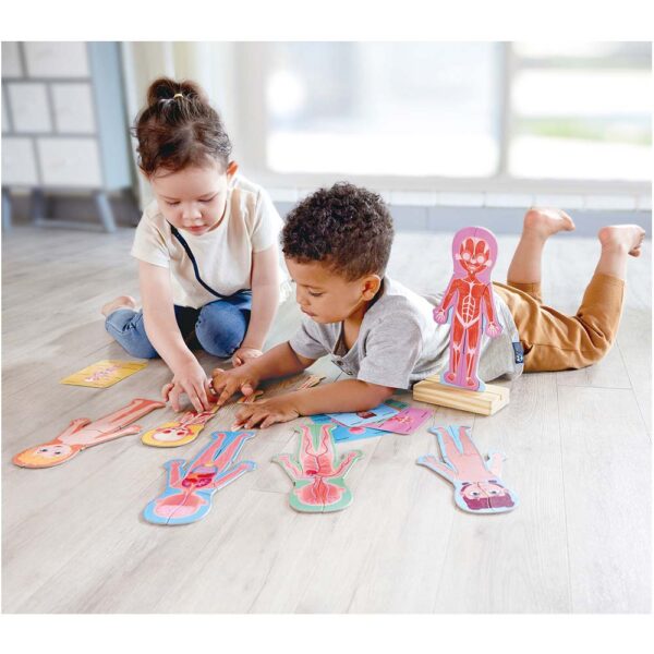 Hape Gioco Magnetico, Il Corpo Umano