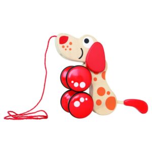 Hape Cagnolino Trainabile Multi Pose, Walk A Long Puppy