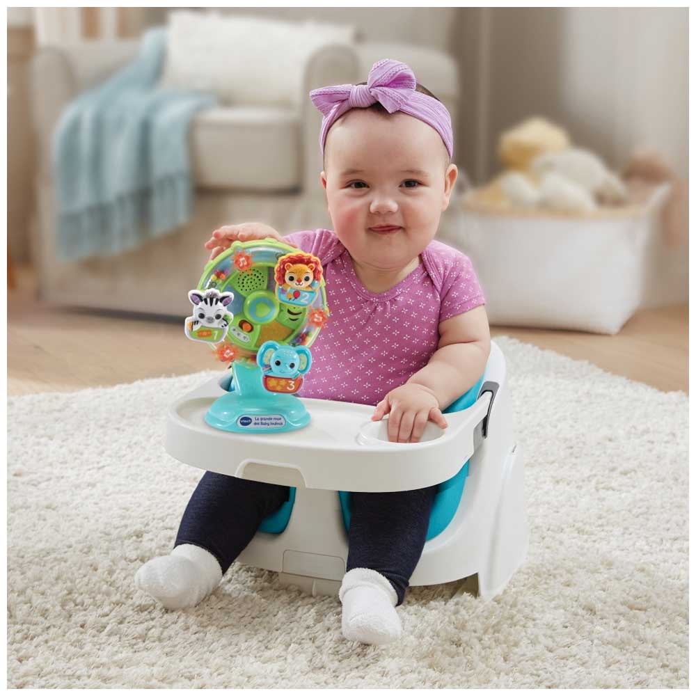 Vtech, Baby Ruota Panoramica