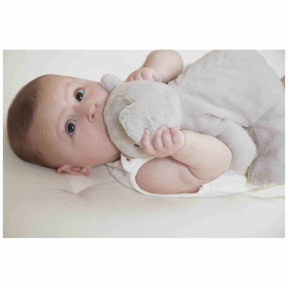 Kaloo Peluche Ponderato Koala Collezione Petit Songe 26 cm