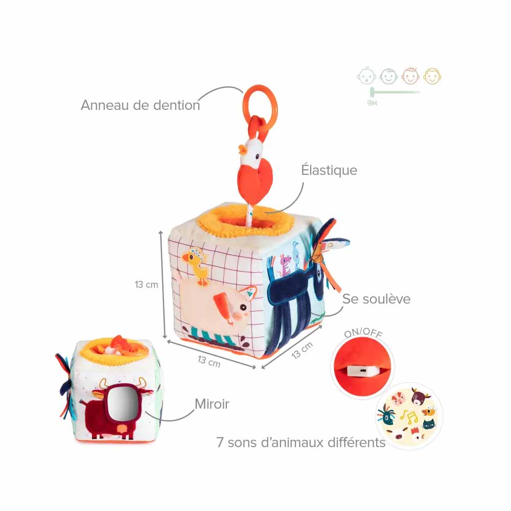 Lilliputiens Cubo Sonoro Per Le Attività Fattoria