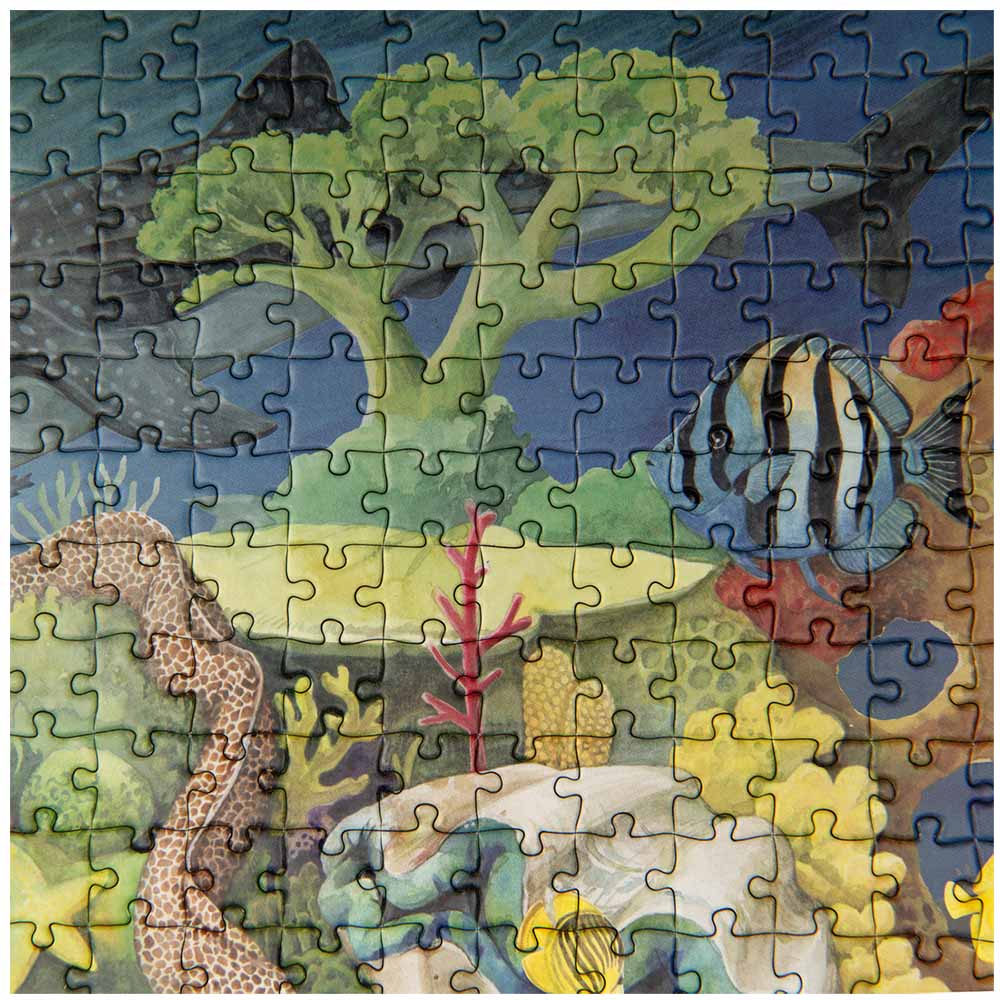 Moulin Roty, Puzzle Barriera Corallina (1000 Pezzi) Tout Autour Du Monde